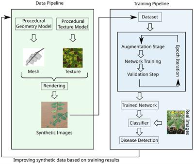 Synthetic data at scale: a development model to efficiently leverage machine learning in agriculture